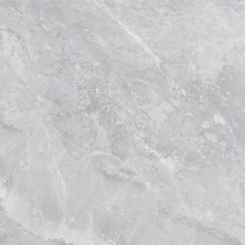 鹰牌 范特西深灰 瓷片 300*300 D0CB09DE