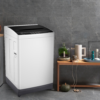 TCL 波轮洗衣机 8公斤 TB-V80亮灰色