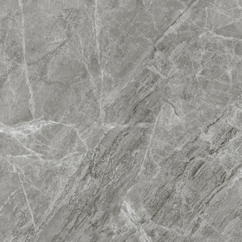 新中源 大地砖 600*1200 SDZ126003