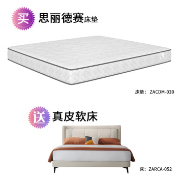 【买思丽德赛床垫送真皮软床】卧室两件套套餐  ZARCA-052  ZACDM-030