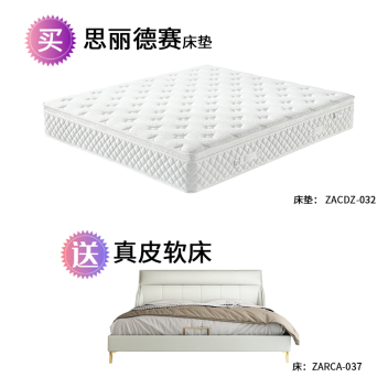 【买思丽德赛床垫送真皮软床】卧室两件套套餐  ZARCA-037 ZACDZ-032