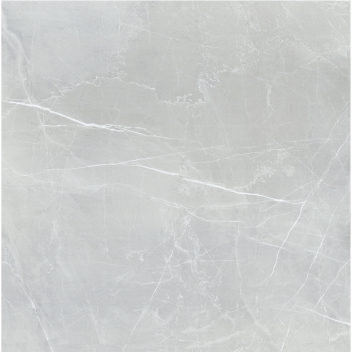 新中源 通体大理石 大地砖 800*800 NB8T118