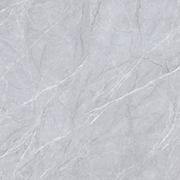 新中源 大地砖 600*1200 SDZ126002