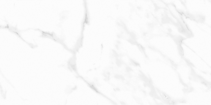 金意陶 中板 400*800 K00848402YAN