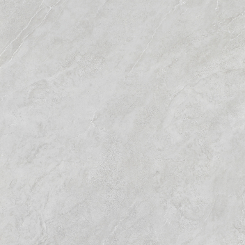 鹰牌 中板砖 E4GT05DE 400*800 月影