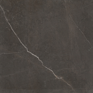 鹰牌 银线深灰 全抛釉800*800 E0GB07AE 